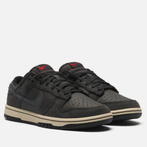 кроссовки Nike Dunk Low Retro Premium (HF3145-001) черного цвета