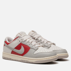 кроссовки Nike Dunk Low Retro (HJ9093-030) серого цвета