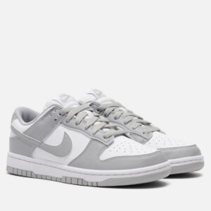 кроссовки Nike Wmns Dunk Low Next Nature (DD1873-113) серого цвета