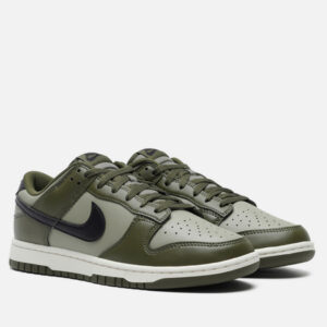 кроссовки Nike Dunk Low Retro (HF5441-300)  цвета